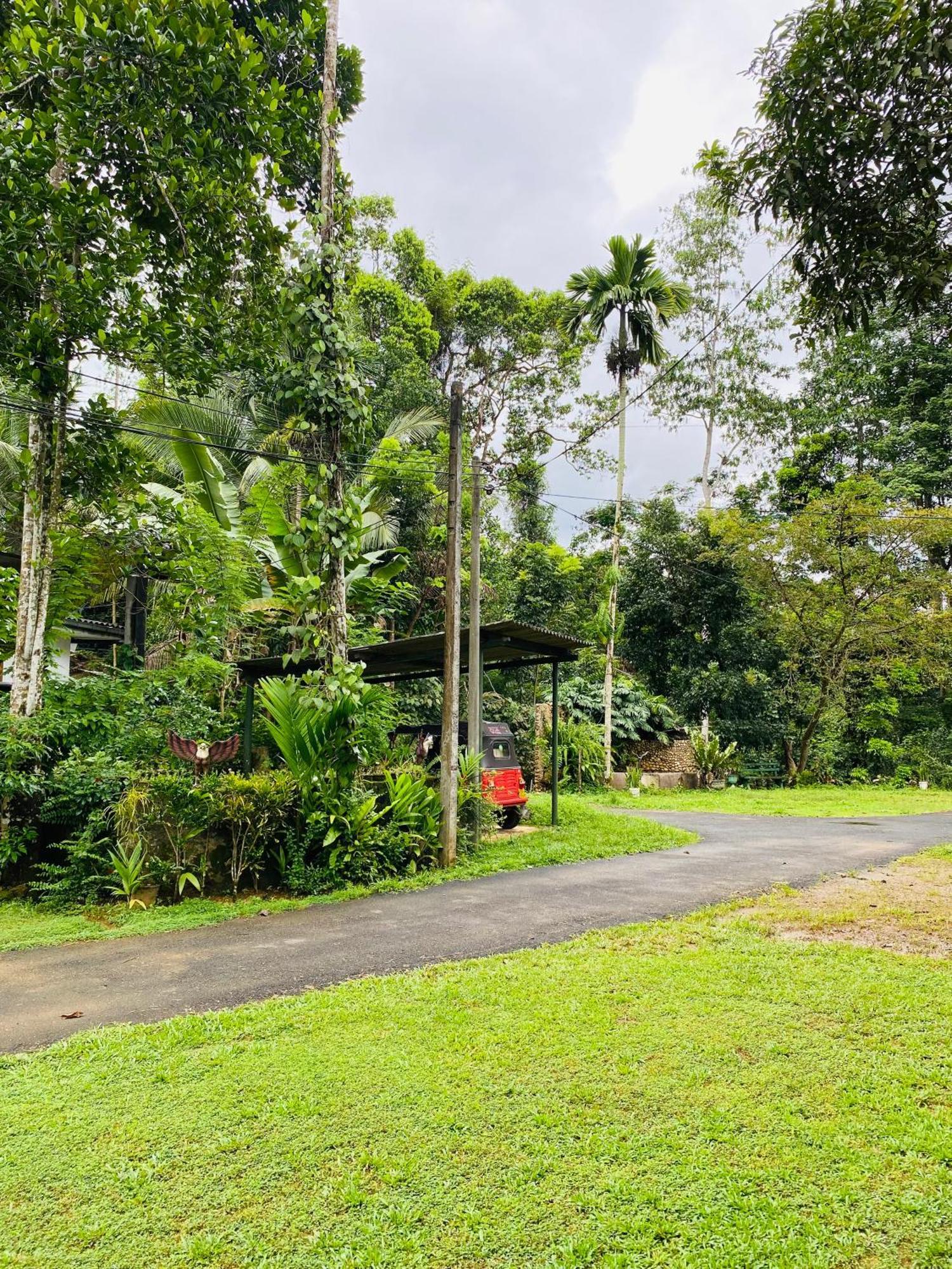 Summer Ridge - Homestay Ratnapura Exterior foto